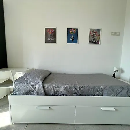 37suited Guardiagrele